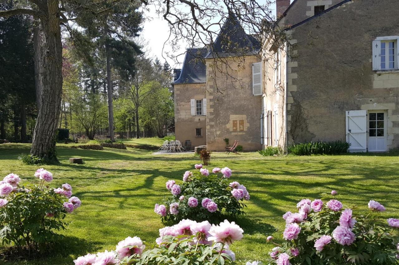 Bed and Breakfast Manoir Du Bellay Montreuil-Bellay Esterno foto
